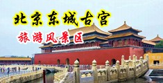 男人大鸡巴插进女人逼里边的真人视频中国北京-东城古宫旅游风景区